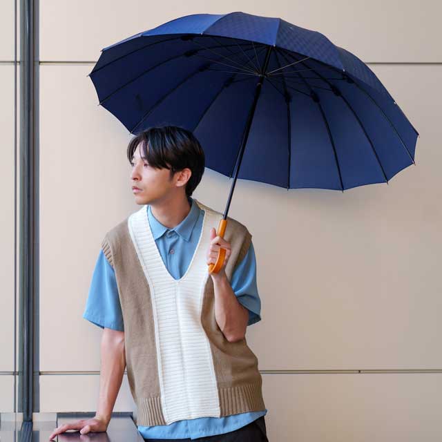 繊細なラインが美しい長傘